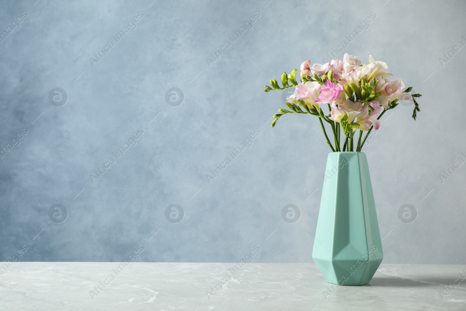 Photo of Beautiful blooming freesias in vase on table against blue background. Space for text