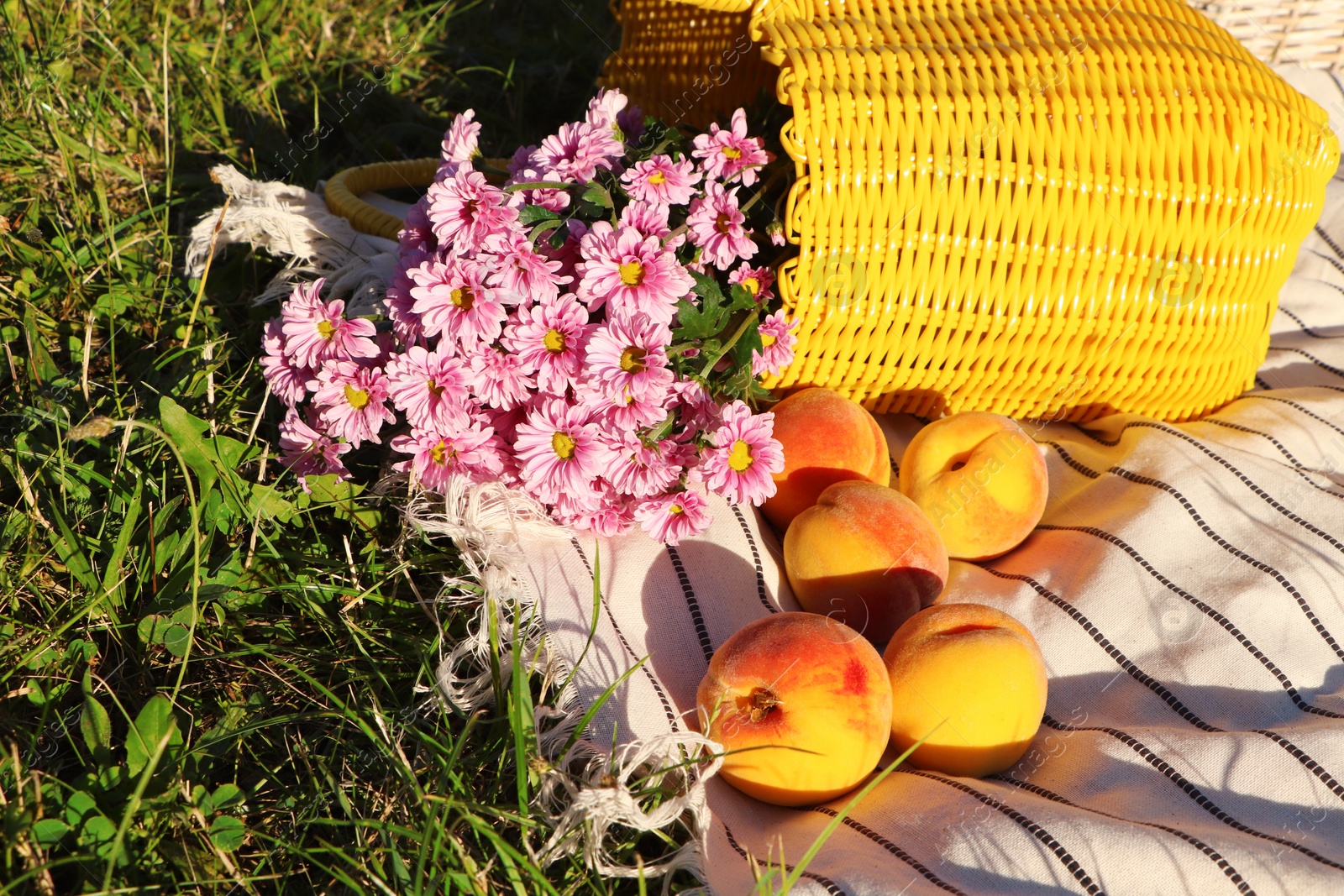 Photo of Yellow wicker bag with beautiful flowers and peaches on picnic blanket outdoors