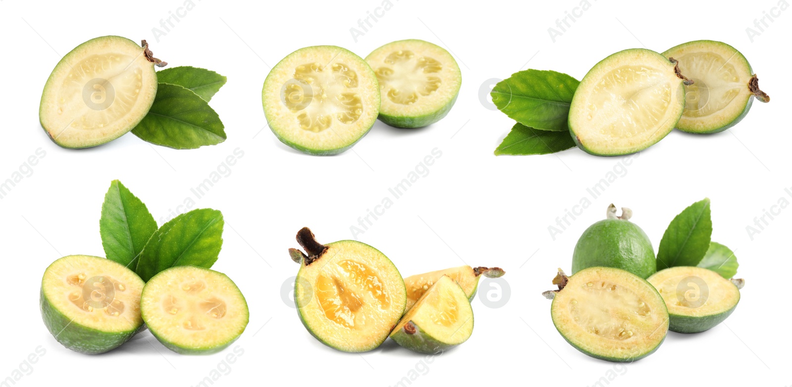 Image of Set of fresh ripe feijoas on white background. Banner design