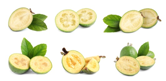 Set of fresh ripe feijoas on white background. Banner design