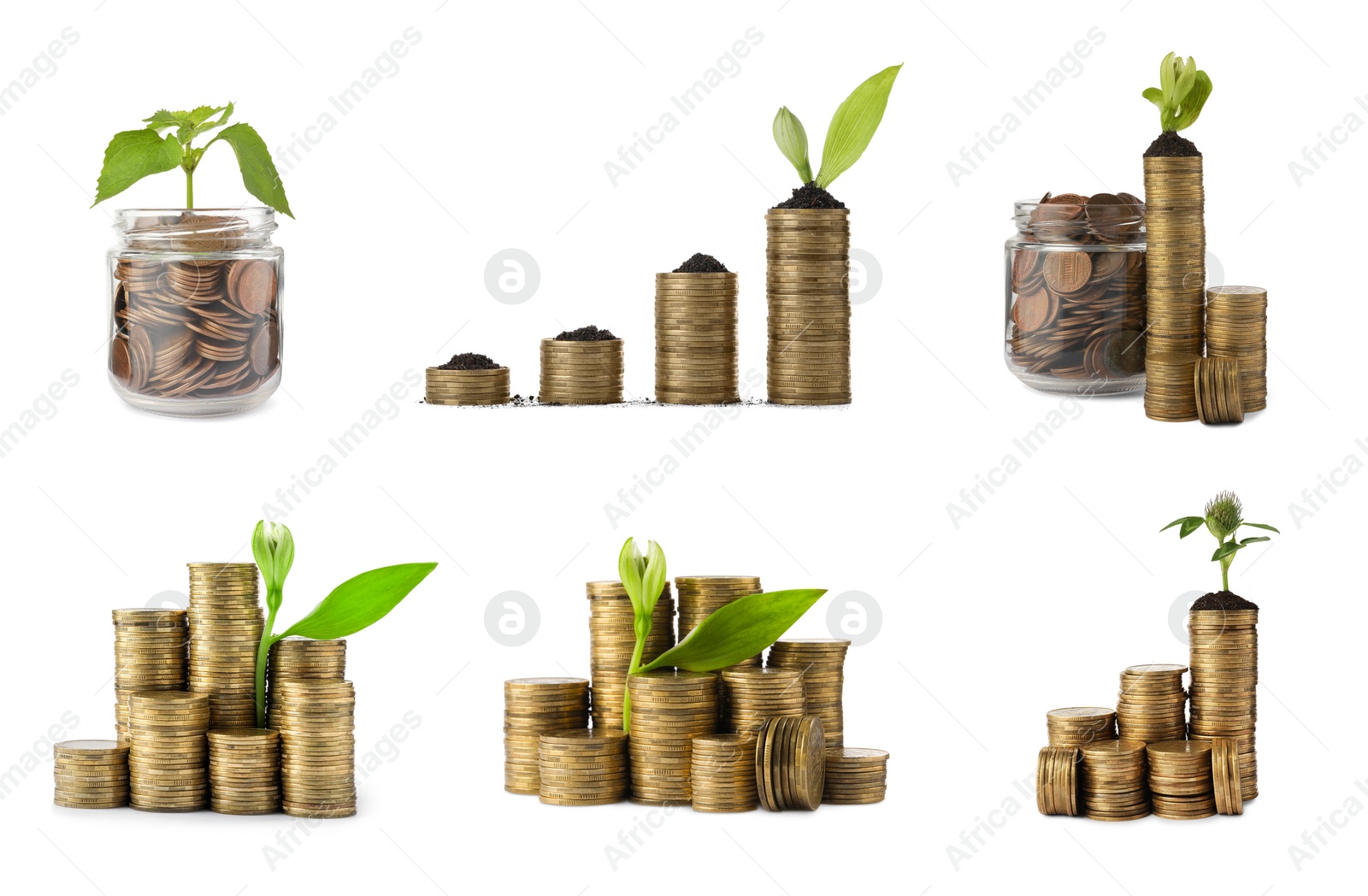 Image of Set with jars, coins and growing plants on white background. Successful investment