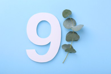 Photo of Paper number 9 and eucalyptus branch on light blue background, top view