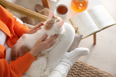 Photo of Woman with cute fluffy cat in armchair, top view