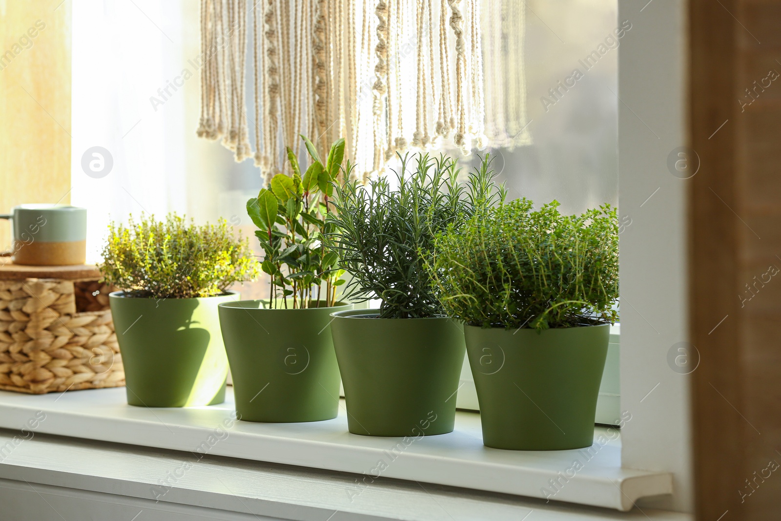 Photo of Different aromatic potted herbs on windowsill indoors