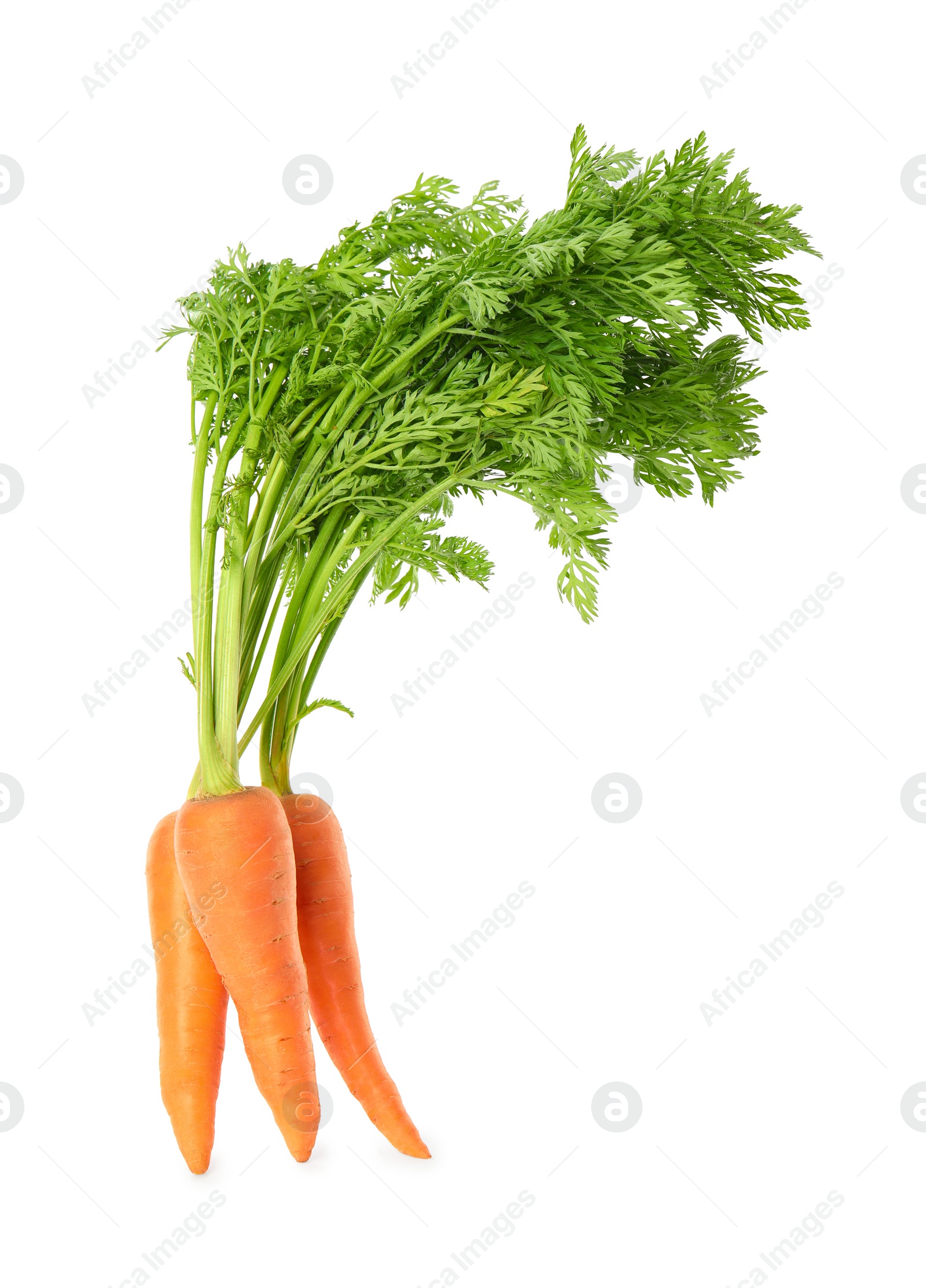 Photo of Fresh ripe juicy carrots isolated on white