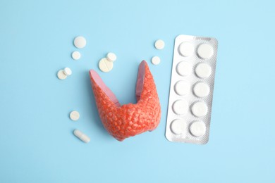 Photo of Plastic model of healthy thyroid and pills on light blue background, flat lay