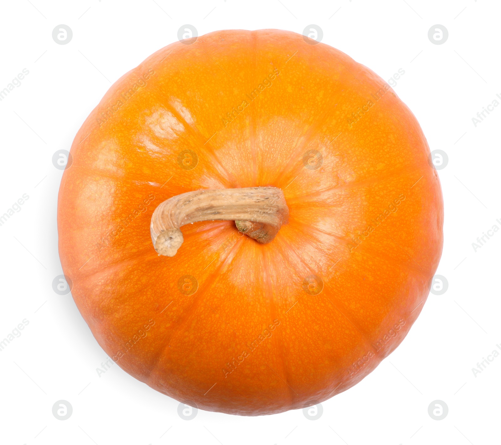 Photo of One fresh orange pumpkin isolated on white, top view