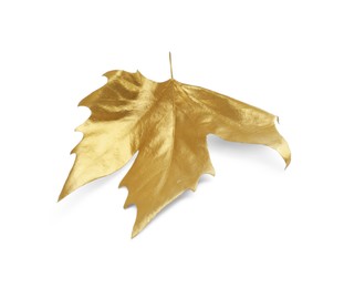 Photo of One golden maple leaf isolated on white. Autumn season