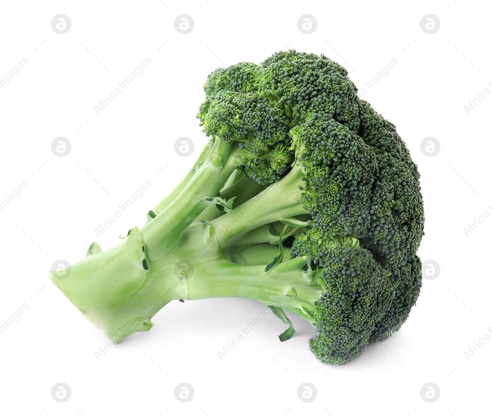 Photo of Fresh broccoli isolated on white. Edible green plant