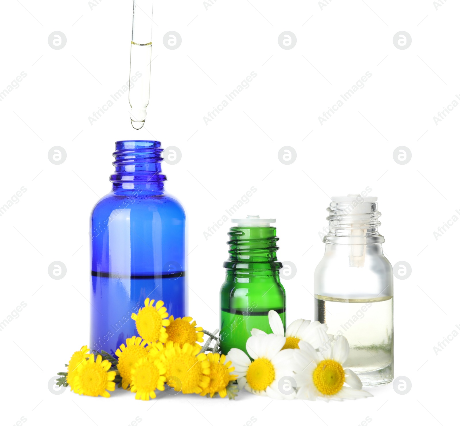 Photo of Dropping herbal essential oil into bottle and flowers isolated on white