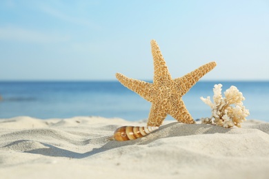 Photo of Sandy beach with starfish, shell and coral near sea on sunny summer day. Space for text