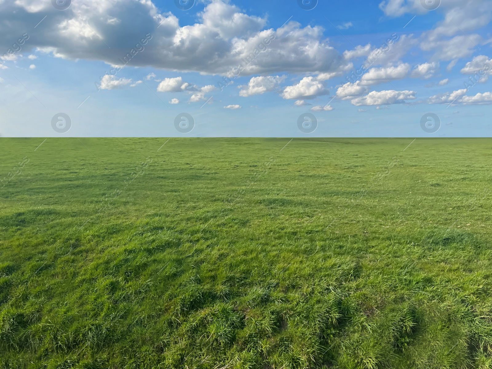 Photo of Beautiful landscape with green grass on sunny day