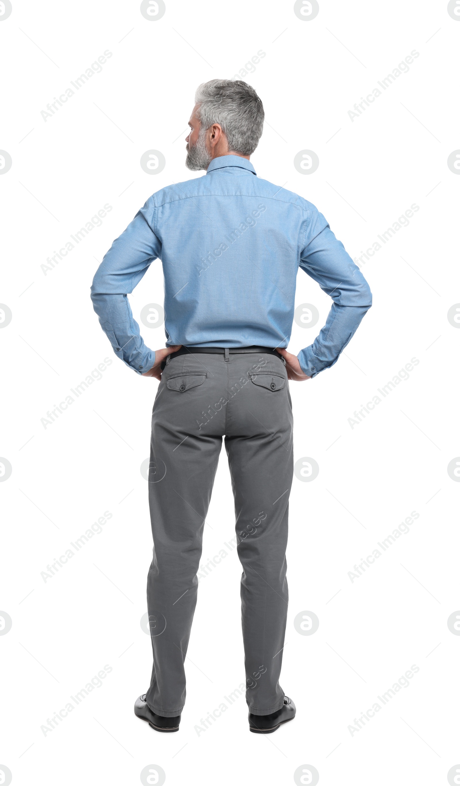 Photo of Mature businessman in stylish clothes posing on white background, back view