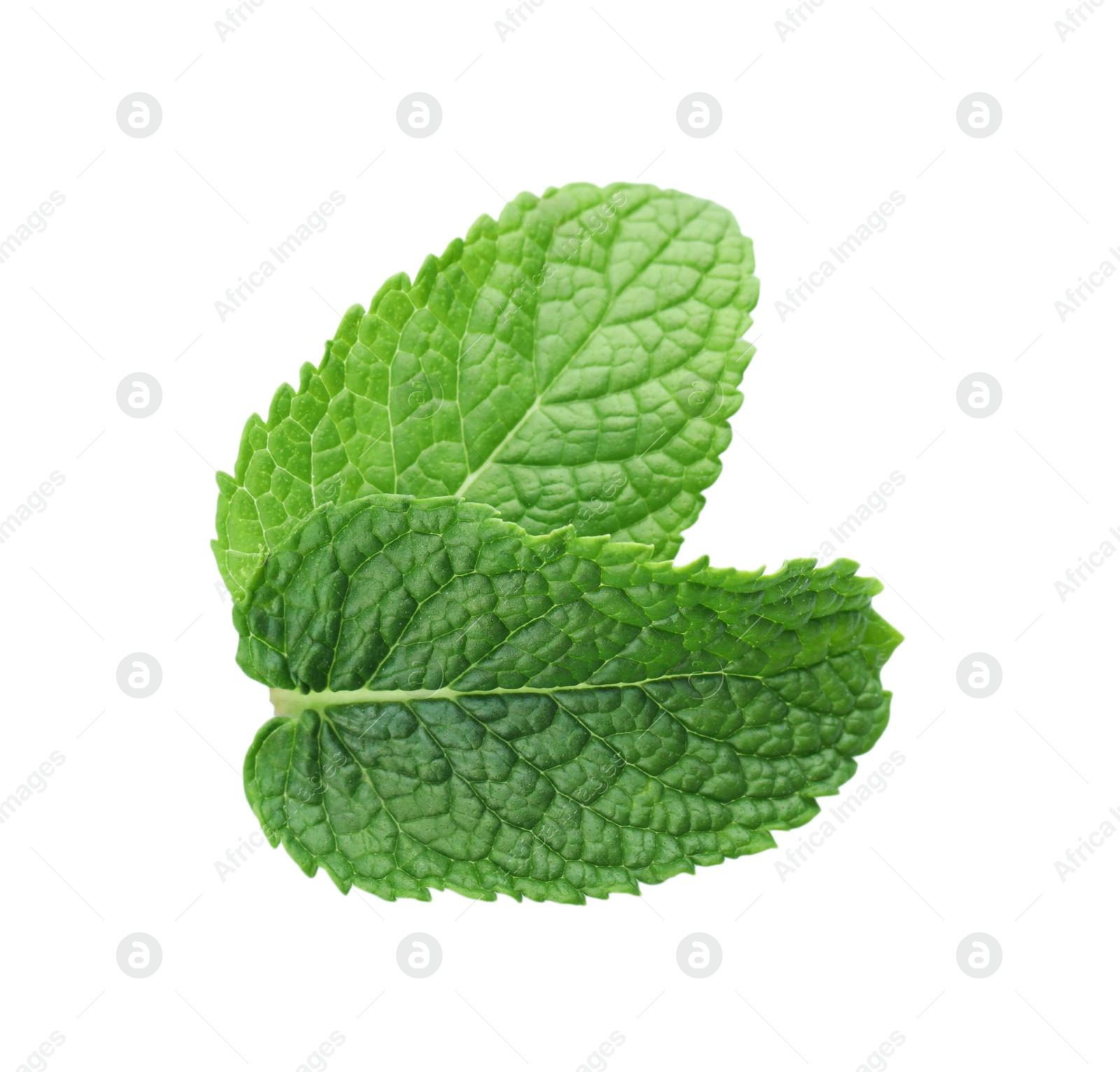 Photo of Fresh green mint leaves isolated on white, top view