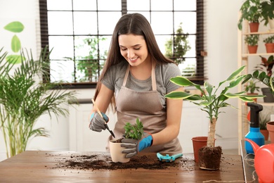 Photo of Young woman taking care of plant at home