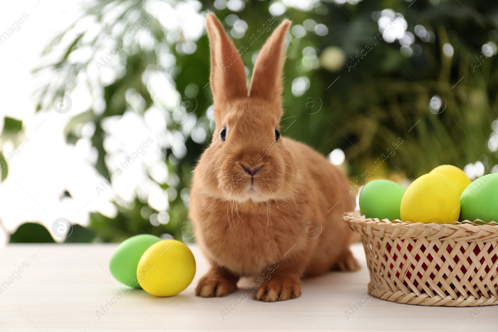 Photo of Cute bunny and basket with Easter eggs on table against blurred background