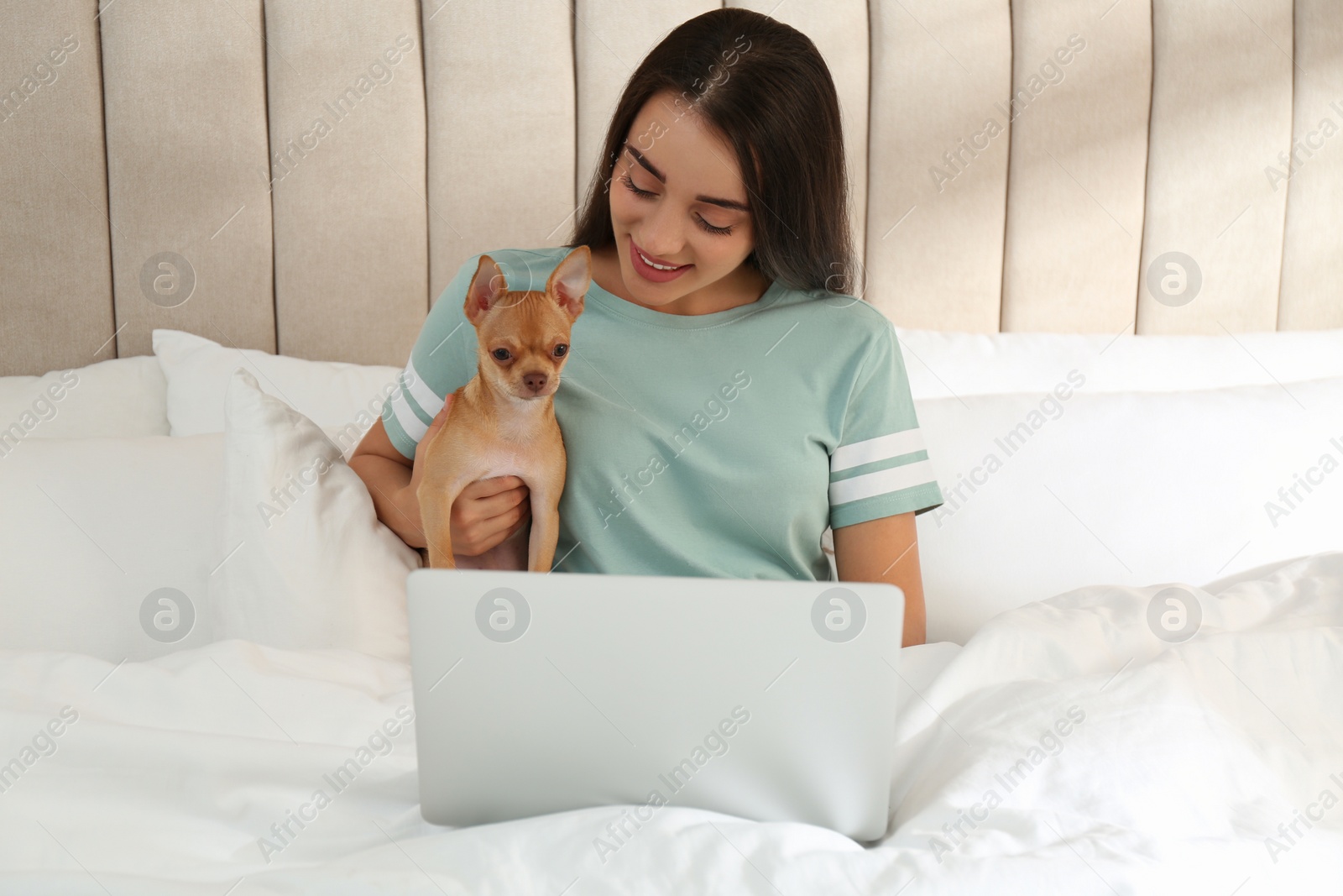 Photo of Young woman with chihuahua and laptop in bed. Home office concept