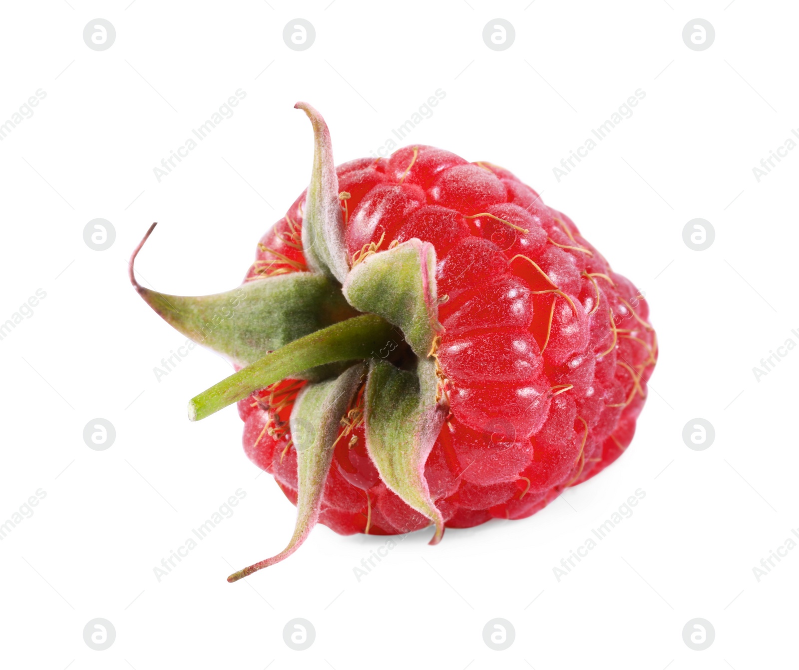 Photo of One tasty ripe raspberry isolated on white