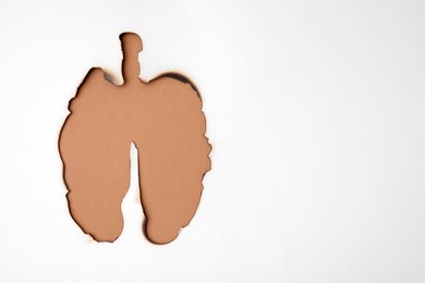 No smoking concept. Burned lungs shaped paper on brown background, top view with space for text