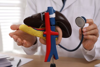 Photo of Doctor with stethoscope and liver model at workplace, closeup