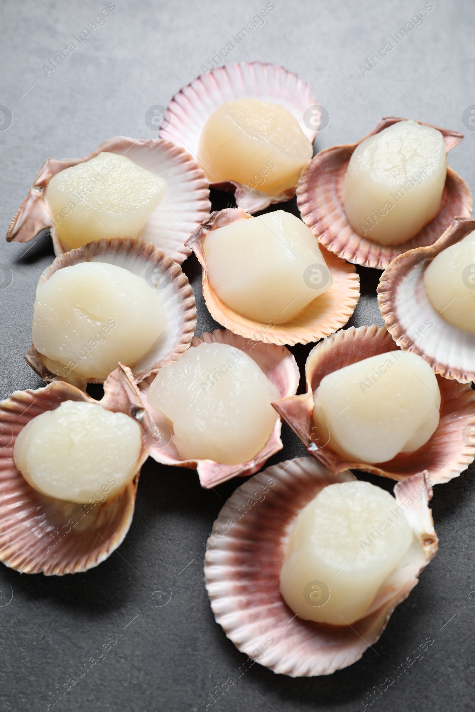 Photo of Many fresh raw scallops in shells on grey table