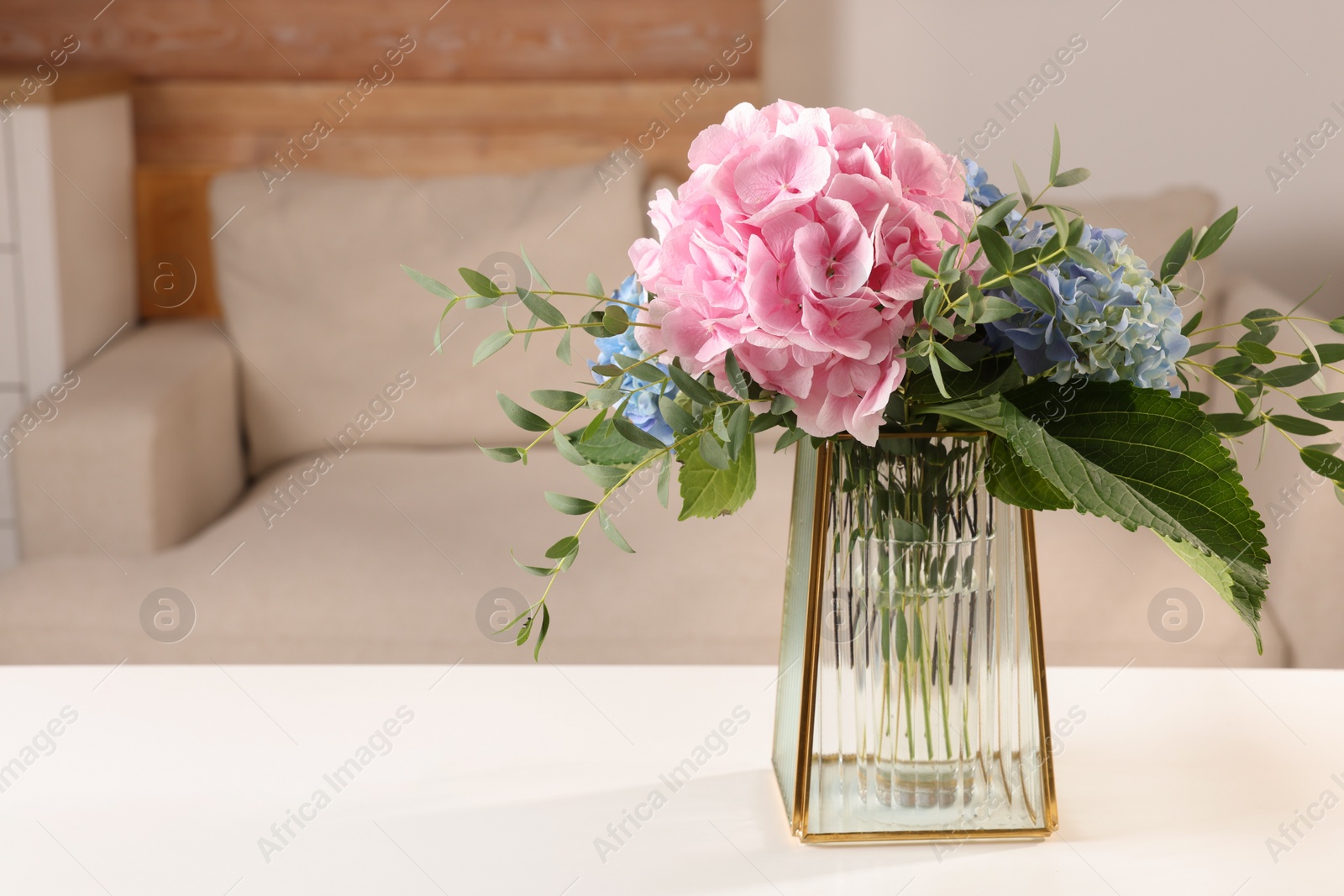 Photo of Beautiful hortensia flowers in vase on white table indoors. Space for text