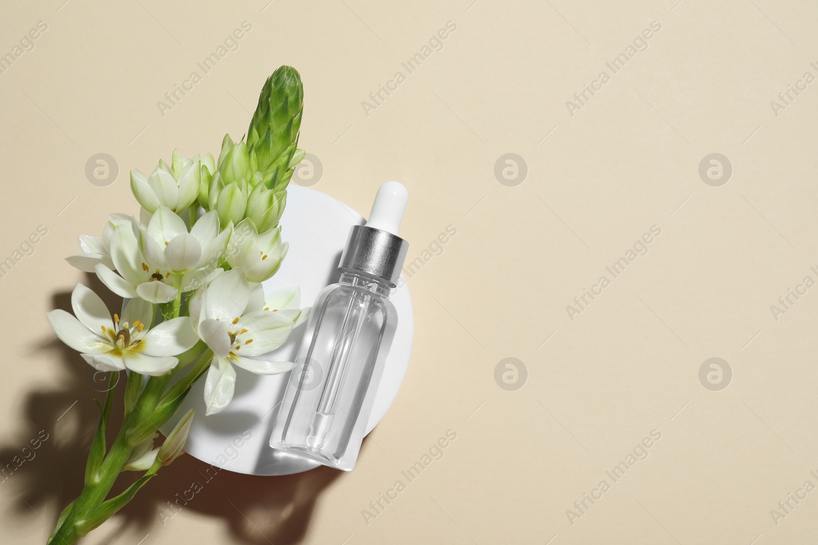 Photo of Bottle of cosmetic oil and flowers on beige background, top view. Space for text