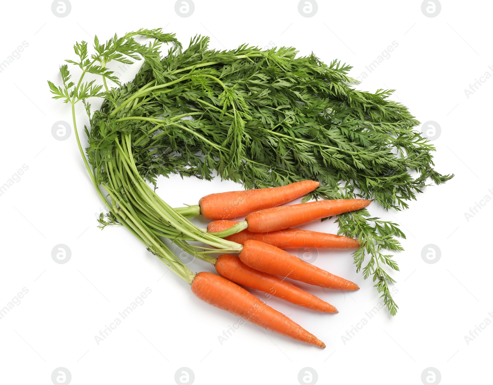 Photo of Fresh ripe carrots on white background, top view