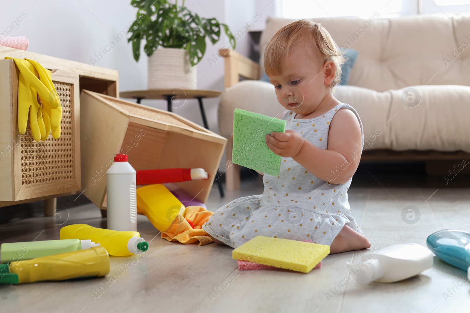 Photo of Cute baby playing with cleaning supplies on floor at home. Dangerous situation