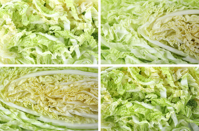 Image of Collage of fresh chopped Chinese cabbage, top view