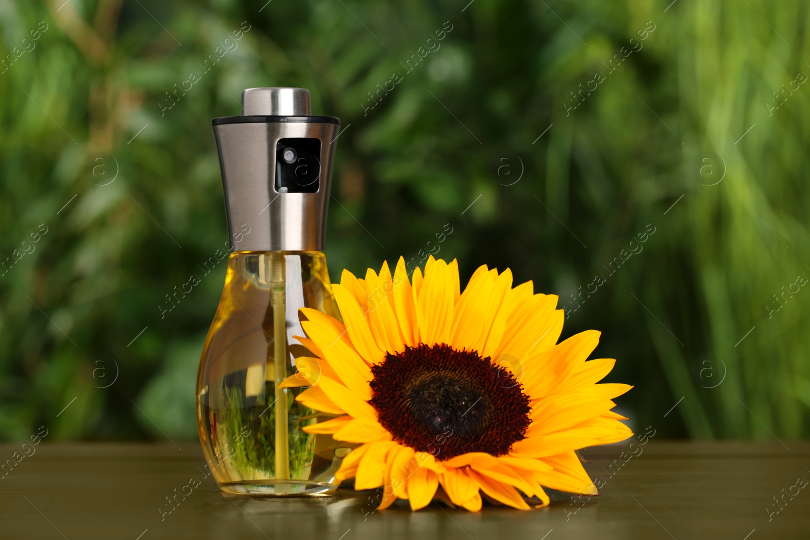 Photo of Sunflower and spray bottle with cooking oil on wooden table against blurred green background