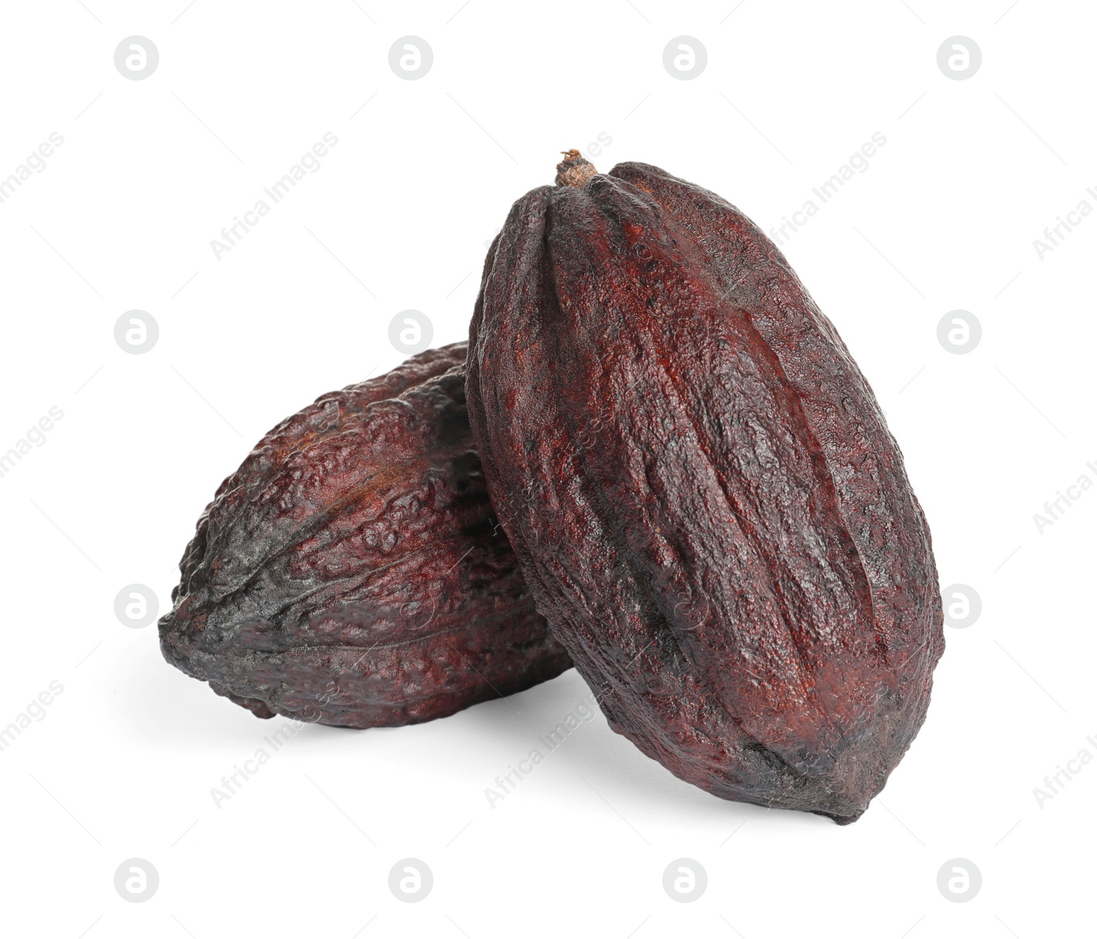 Photo of Whole tropical cocoa pods isolated on white