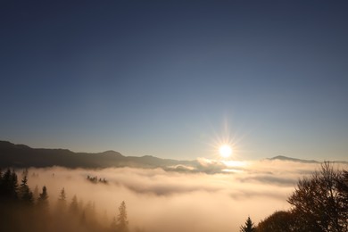 Photo of Aerial view of beautiful mountain landscape with forest and thick mist at sunrise