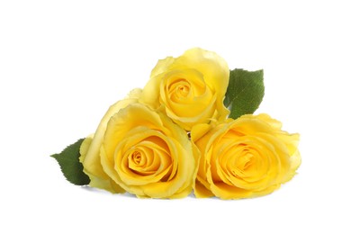 Photo of Beautiful fresh yellow roses with leaves isolated on white