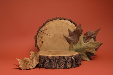 Autumn presentation for product. Wooden stumps and dry leaves on terracotta background
