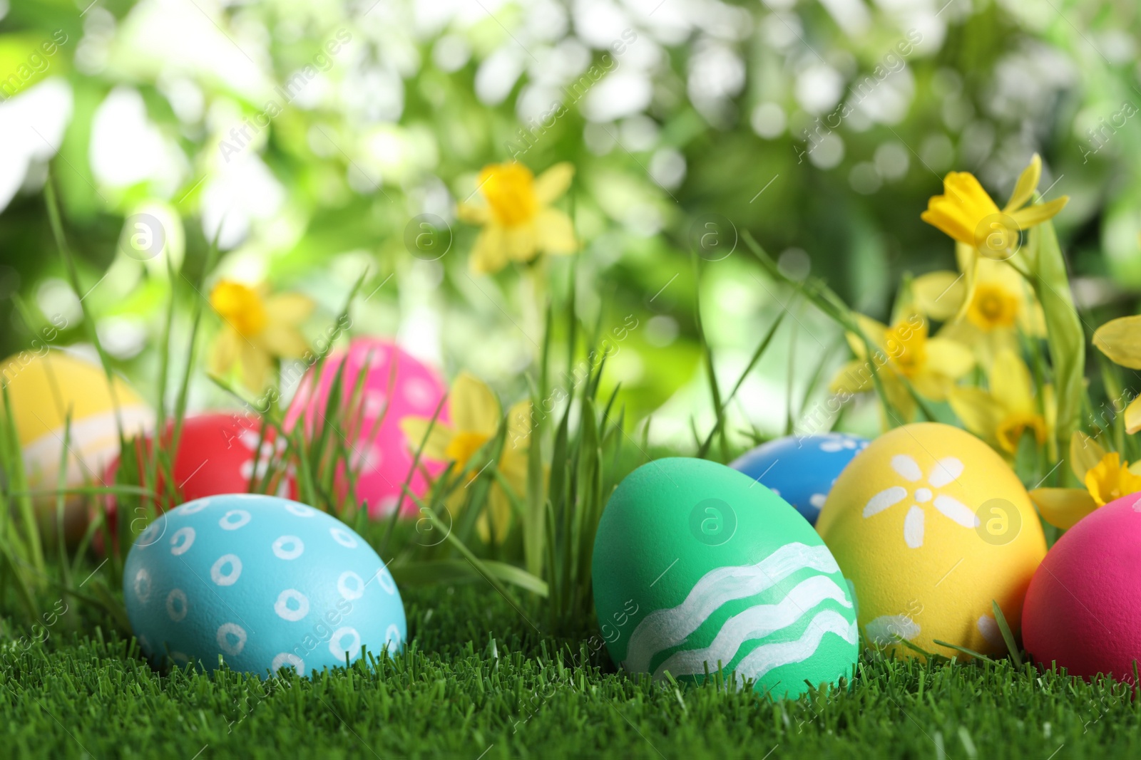 Photo of Colorful Easter eggs and daffodil flowers in green grass
