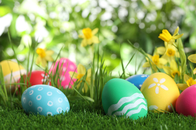 Colorful Easter eggs and daffodil flowers in green grass