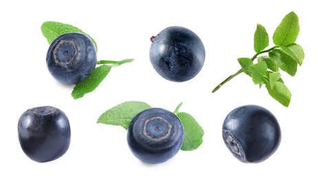 Image of Set with fresh ripe bilberries and green leaves isolated on white