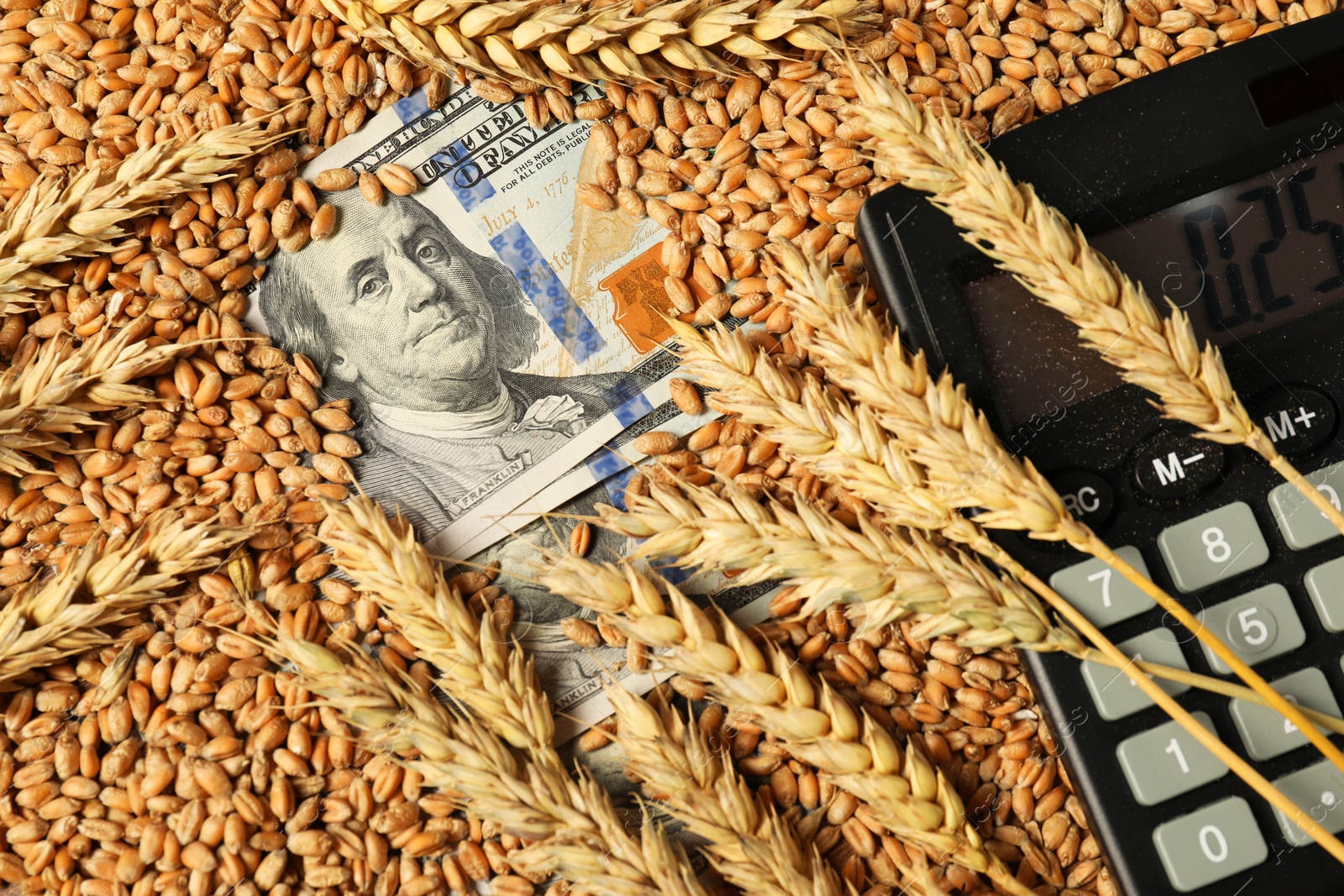 Photo of Dollar banknotes, calculator and wheat ears on grains, closeup. Agricultural business