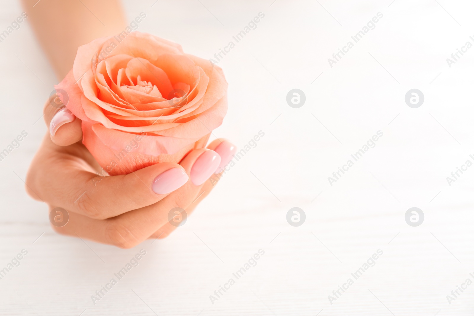 Photo of Closeup view of woman with rose at white table, space for text. Spa treatment