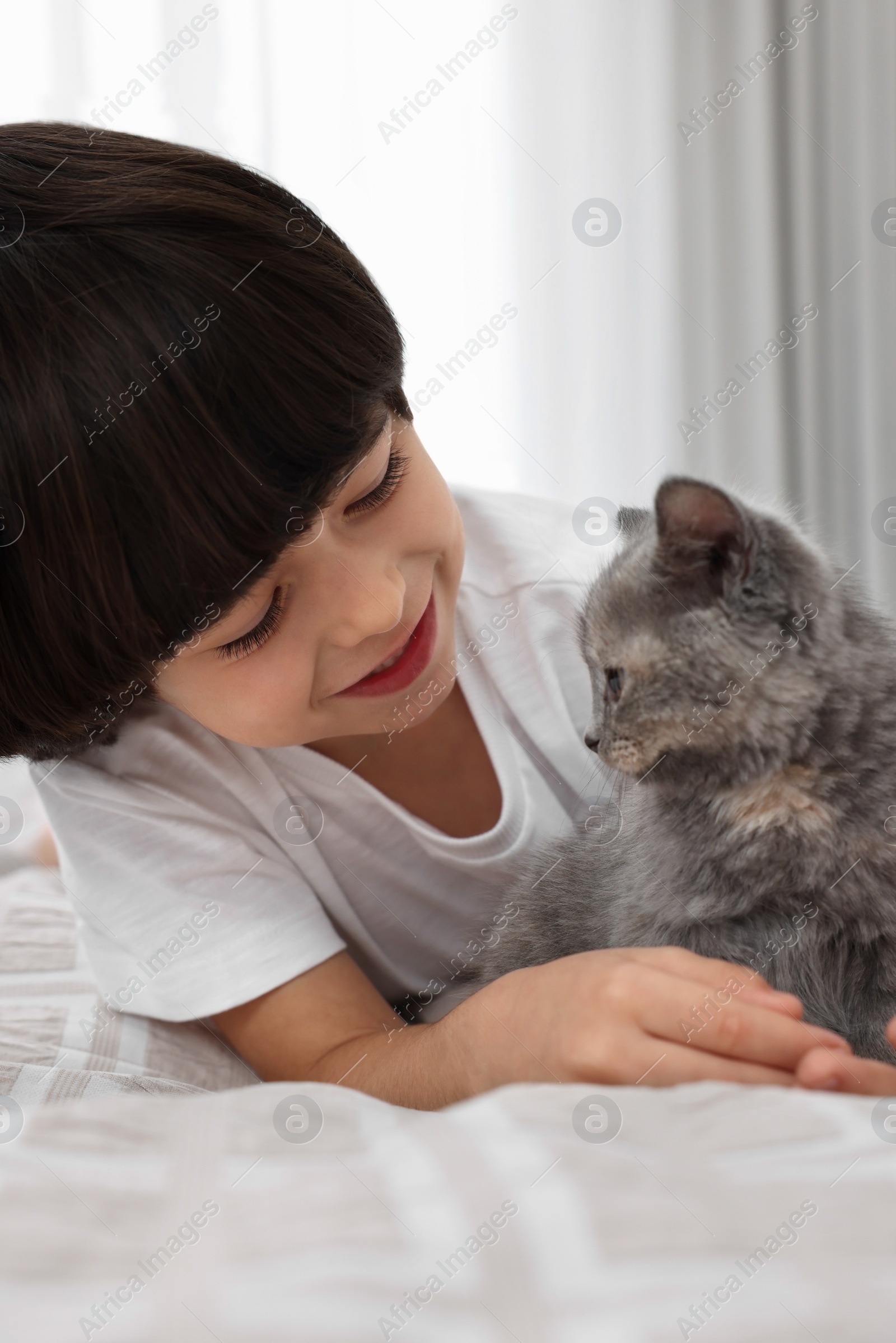 Photo of Cute little boy with kitten on bed at home. Childhood pet