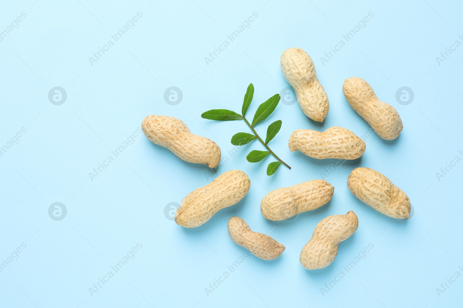 Photo of Fresh unpeeled peanuts and twig on light blue background, flat lay. Space for text