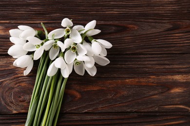 Photo of Beautiful snowdrops on wooden table, above view. Space for text