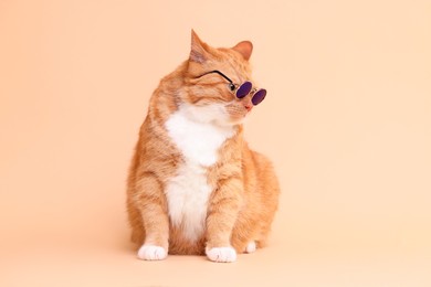 Photo of Cute ginger cat in stylish sunglasses on beige background