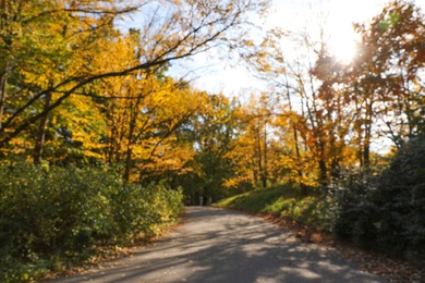 Photo of Beautiful trees with bright leaves in park, blurred view. Autumn season