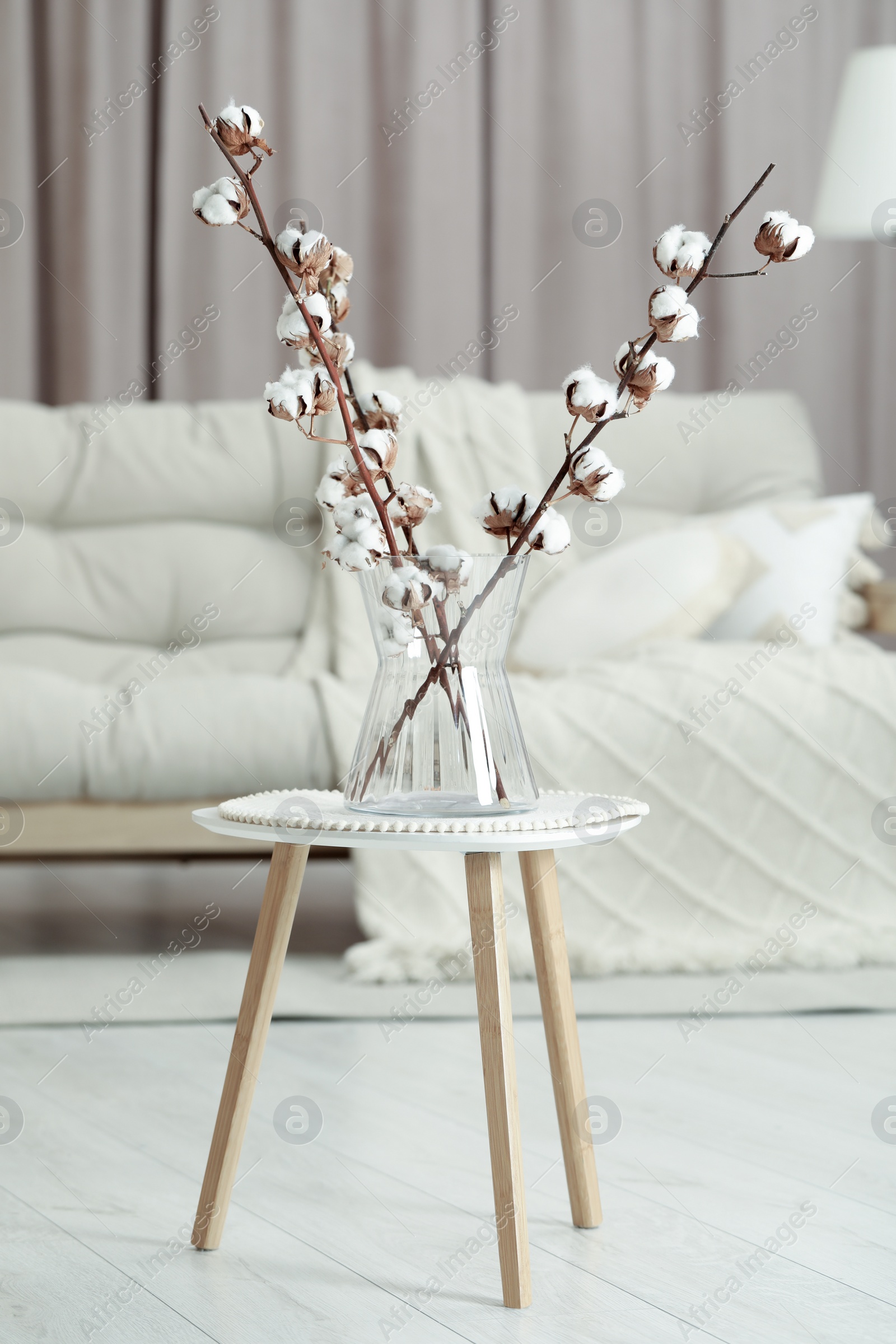 Photo of Branches with white fluffy cotton flowers on coffee table in cozy room. Interior design