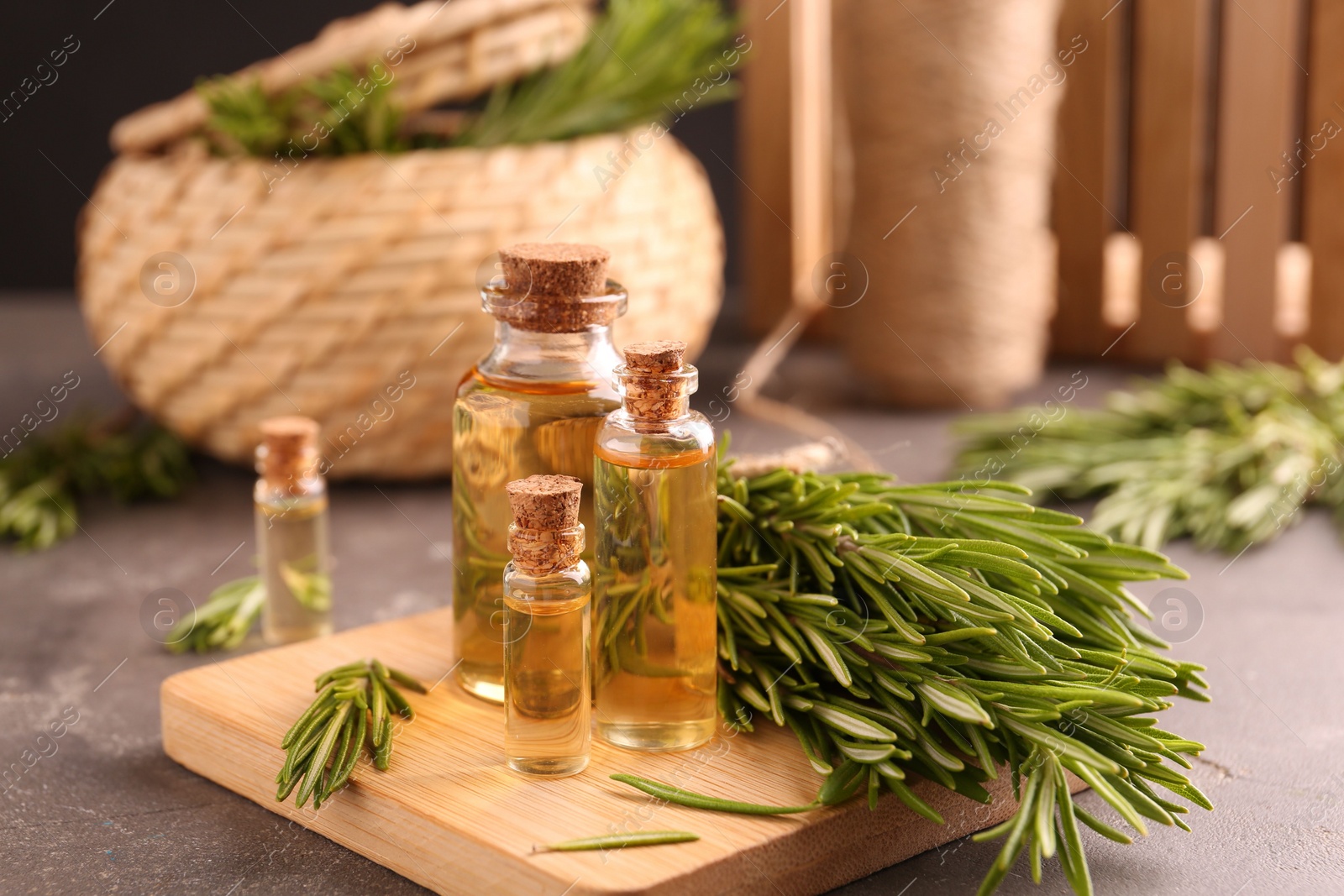 Photo of Essential oil in bottles and rosemary on grey table