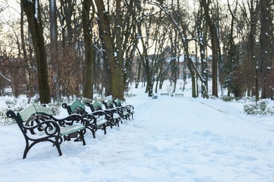 Green benches and trees in snowy park