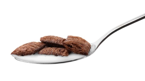 Chocolate cereal pads and milk in spoon isolated on white