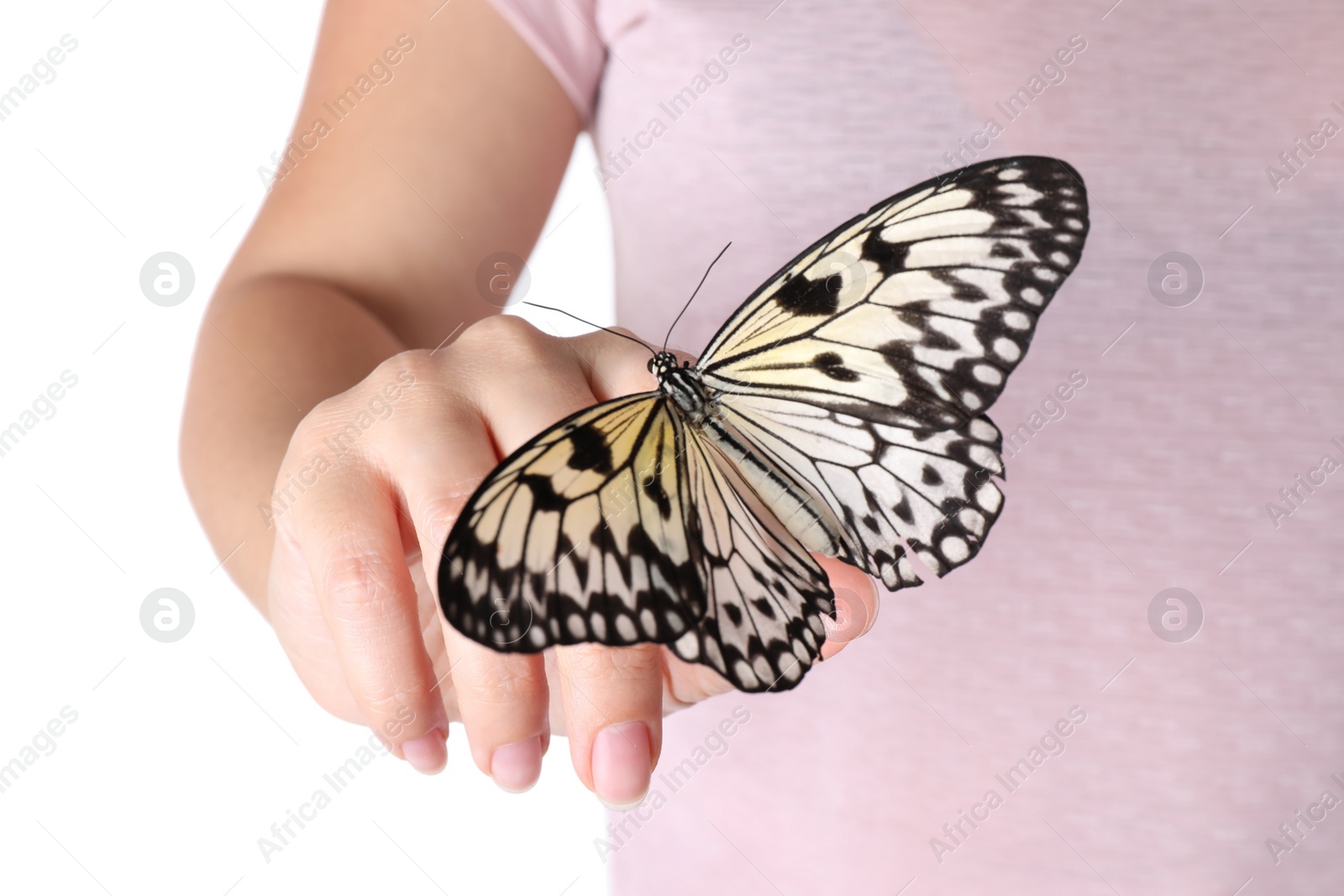 Photo of Woman holding beautiful rice paper butterfly on white background, closeup